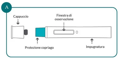 Diagrama médico con tapón, protección de aguja, ventana de observación y mango de un dispositivo para la
