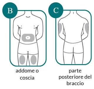 Diagramas médicos que muestran los sitios de inyección: abdomen o muslo en el primer esquema y parte posterior del brazo en el segundo esquema