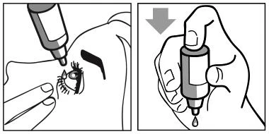 Dibujo en dos partes que muestra la