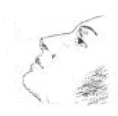 Thin-line drawing of the profile of a human face turned towards the