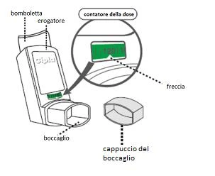 Diagram of an inhaler with labels indicating the canister, the