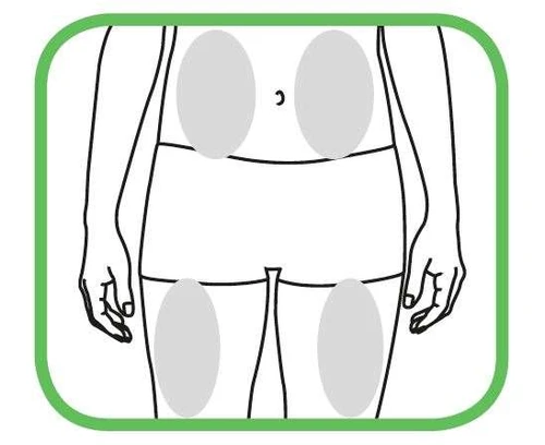 Esquema del cuerpo humano con cuatro áreas ovales grises colocadas sobre