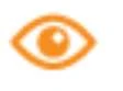 Icono estilizado de un ojo humano con contorno e iris de color naranja sobre fondo blanco