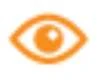 Icono estilizado de un ojo de color naranja con pupila e iris bien definidos sobre fondo blanco