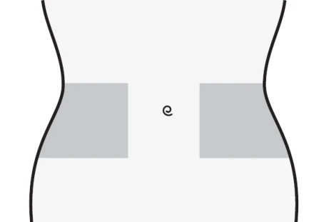 Stylized diagram of a human torso with two gray rectangular areas positioned on the hips to indicate drug application sites