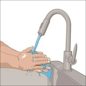 Illustration of hands washing under a water stream