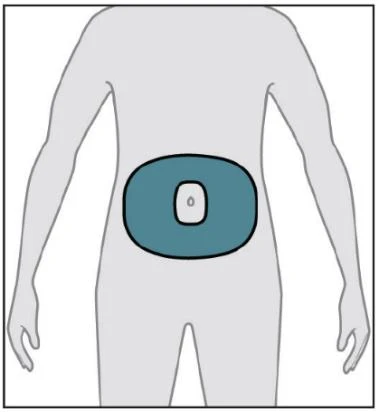 Stylizowany diagram tułowia ludzkiego z