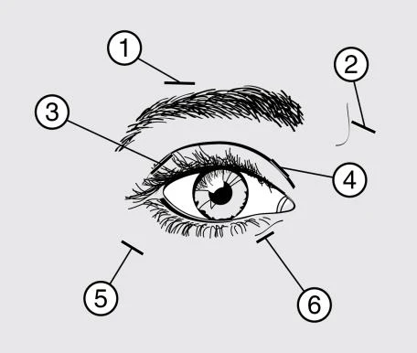 Diagrama esquemático de un ojo con seis números circulares que indican diferentes partes del