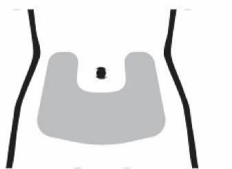 Diagrama estilizado de un torso humano con un
