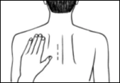 Black and white drawing of a person's back with a hand placed on the upper left side and two vertical lines on the spine