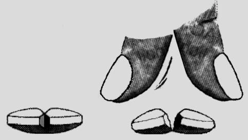 Black and white drawing showing a whole tablet and its subsequent division into two halves separated by an empty space