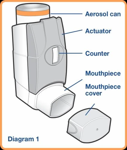 Diagram of an inhaler with labels indicating the aerosol canister, the