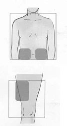 Diagrama médico que muestra dos áreas grises rectangulares en la parte inferior del