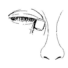 Black and white drawing of a closed eye and a nose with a small circle indicating the