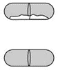Schematic drawing of two gray medicinal capsules on a white background, the upper one partially broken and the lower one intact