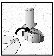 A hand holds a capsule while a curved arrow indicates the insertion movement of the capsule into the