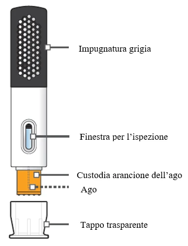 Diagram of a medical device with gray handle, inspection window, orange cap of the