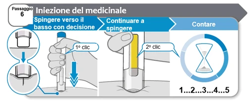 Diagram with steps for the