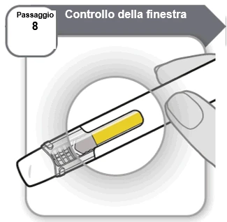 Illustration of step 8 showing inspection of the transparent window of a medical device with the