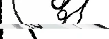 Autograph signature in black ink on white background with fluid, stylized strokes forming cursive characters