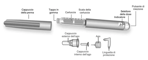 Diagrama de una pluma inyectable con tapón, cartucho, escala, selector de dosis, botón, aguja, tapones y lengüeta protectora