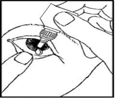 Dibujo en blanco y negro que muestra una mano sosteniendo un frasco para aplicar una gota de medicamento directamente en el