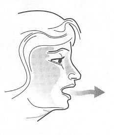 Stylized drawing of a person's profile with an open mouth from which a right-pointing arrow emerges