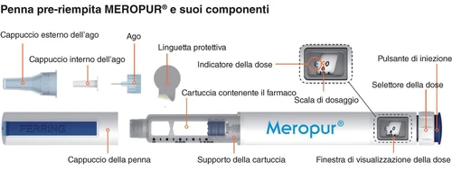 Diagram of the pre-filled Meropur pen showing components: cap, needle, tab, cartridge, indicator, button, and dose selector