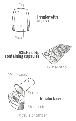 Diagrama médico con inhalador con tapa, blíster con cápsulas y base del