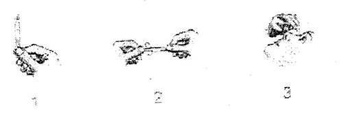 Three numbered illustrations showing the steps for preparing and using a medical device with butterfly needles and syringe