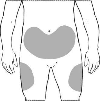Schematic drawing of a human torso with gray areas indicating application sites on the body