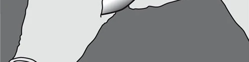 Stylized black and white drawing showing a section of a human body with a pointed object penetrating the upper tissue