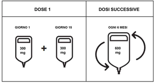 Schemat medyczny z dwoma workami po 300 mg na dzień 1 i 15 oraz workiem 600 mg co 6 miesięcy, ze strzałkami kołowymi wskazującymi kolejne dawki