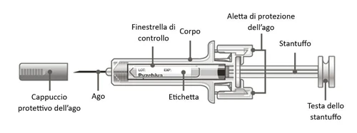 Diagram of a syringe with labels indicating protective cap, needle, viewing window, barrel, flange, plunger, and plunger head
