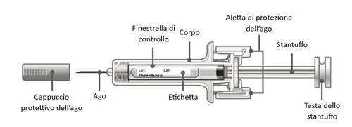 Technical diagram of a syringe with labels indicating protective cap, needle, viewing window, barrel, flange, plunger, and plunger head