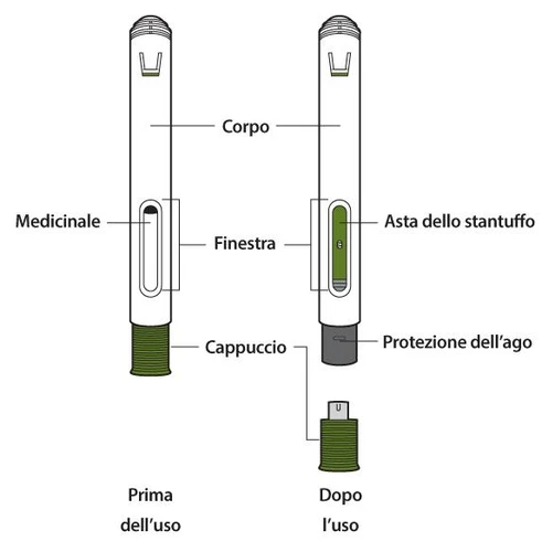 Diagram of a medical device with labels showing the body, medication, viewing window, needle, and cap