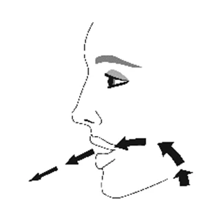 Dibujo estilizado del perfil de un rostro humano con flechas negras que indican movimientos laterales y hacia la