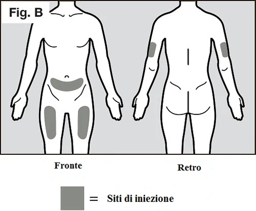 Human body diagram shown from front and back views, with shaded areas indicating injection sites on abdomen, thighs, and arms