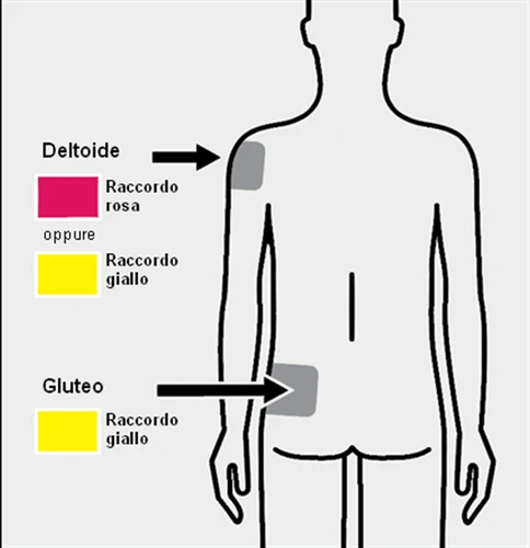 Diagrama del cuerpo humano que indica la