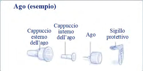Diagrama con las partes de una aguja: tapón externo, tapón interno, aguja y sello protector sobre fondo blanco