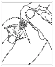 Dibujo de líneas negras que muestra una mano sosteniendo y abriendo un recipiente o dispositivo médico con una tapa de presión