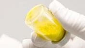 A hand wearing a white glove holding a transparent container filled with bright yellow powder on a light gray background