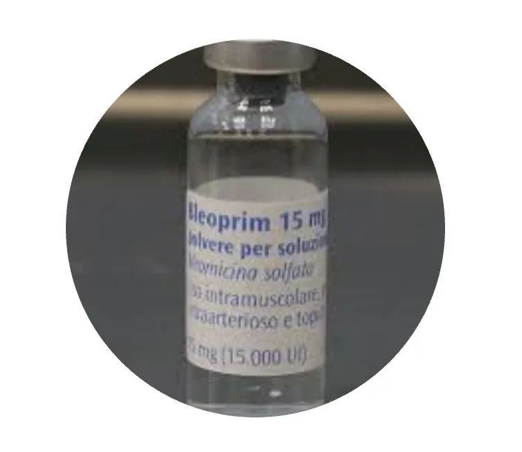 Bleoprim polvo para solución inyectable