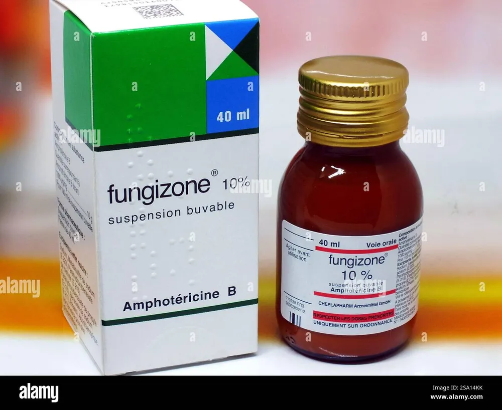Fungizone polvo para solución para perfusión intravenosa
