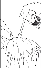 Due mani che tengono un applicatore applicato sulla cute del cuoio capelluto di una persona con capelli, per l'applicazione di un farmaco