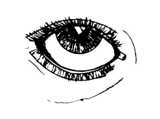 A black-and-white drawing showing a close-up of a human eye with clearly marked eyelashes and delicate lines around the eyelid