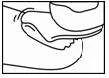 Schematic drawing showing a close-up of a person's nose and mouth, illustrating the method of applying medication to the nose or around the mouth