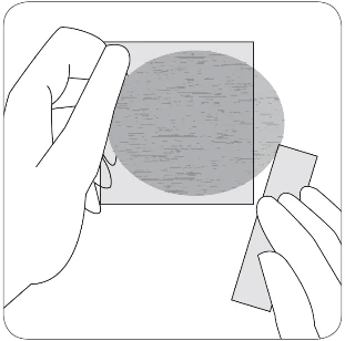 Illustration showing two hands holding glass slides, one of which has a round gray element with a texture resembling a medical preparation placed on it