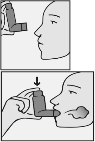A diagram showing the inhaler placed at the mouth and pressed down at the moment of exhaling by a person in profile view