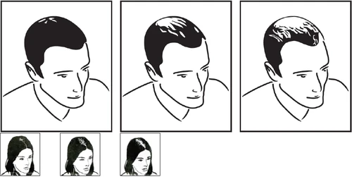 Tre disegni che mostrano la testa di un uomo in diverse angolazioni e tre ritratti più piccoli della testa di una donna nella parte inferiore dell'immagine